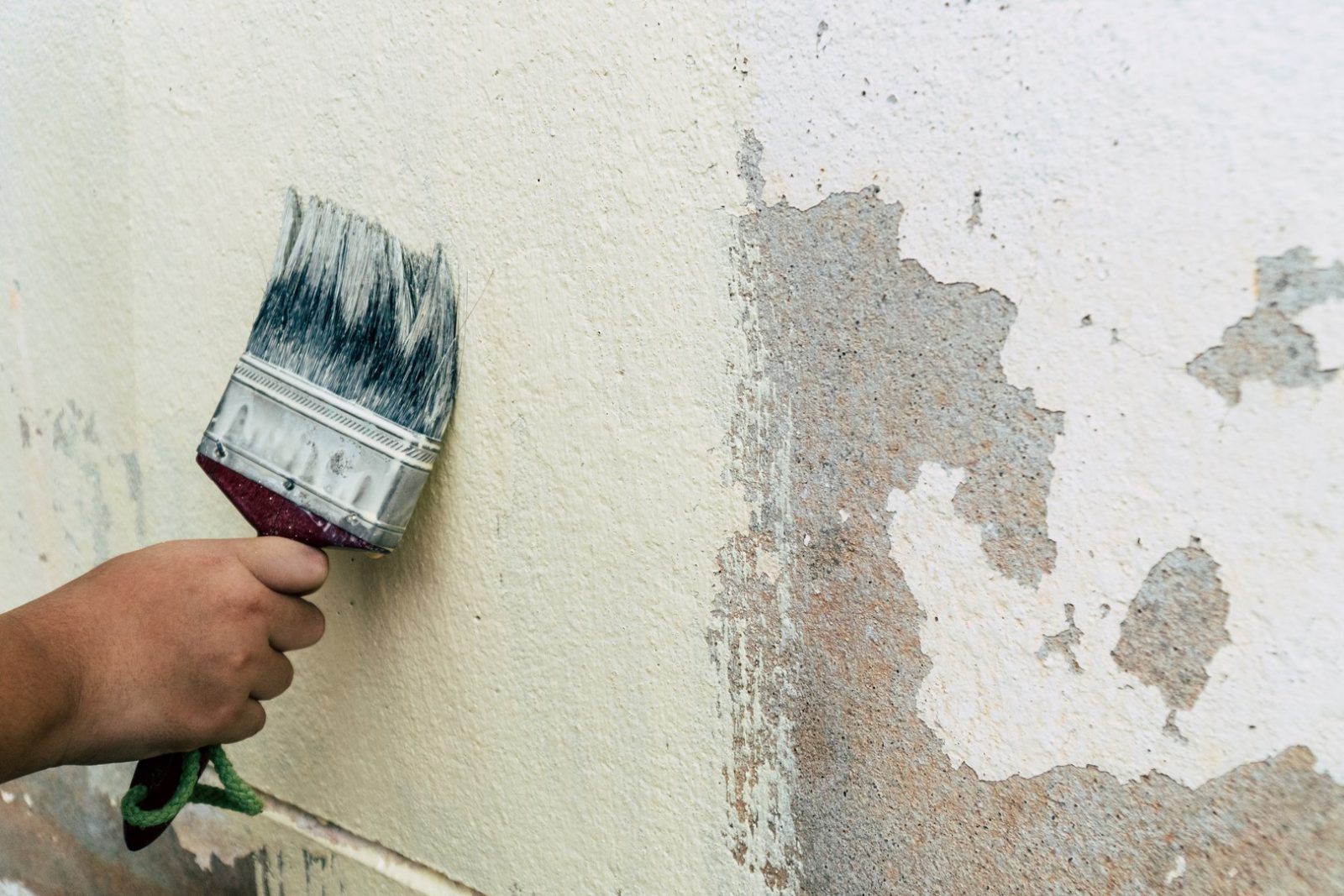 Stucco Painting Wilmette